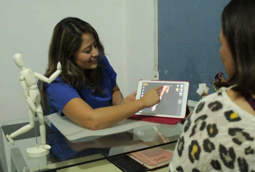 Consulta inicial